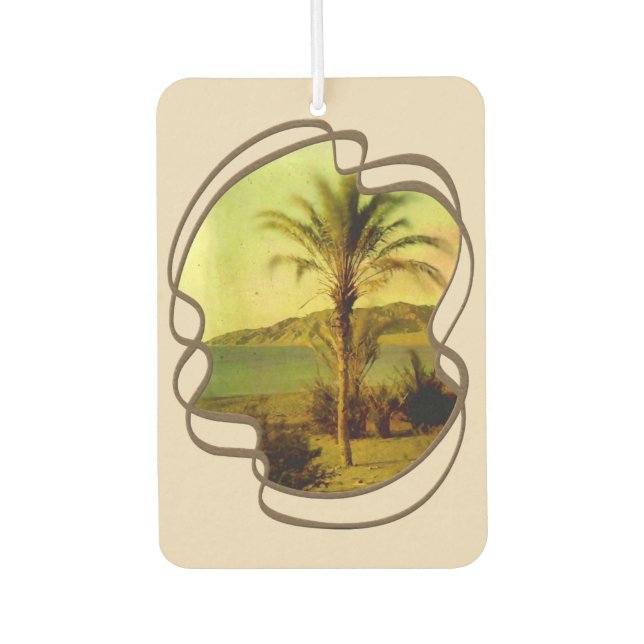 Désodorisant Pour Voiture Eau Bébé Vintage Palm Air Freshener (Devant)