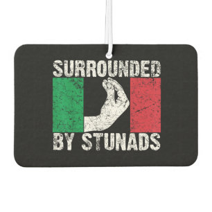 Désodorisant Pour Voiture Entouré de Stunads