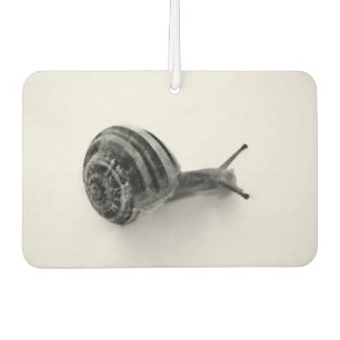 Désodorisant Pour Voiture Escargot