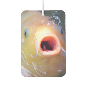 Désodorisant Pour Voiture Falln chantant Ghost Koi