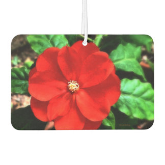 Désodorisant Pour Voiture Fleur désodorisante