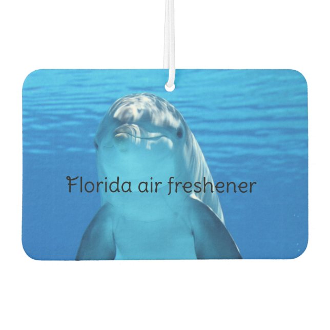Désodorisant Pour Voiture Florida  (Devant)