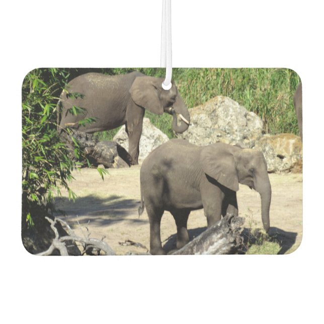 Désodorisant Pour Voiture Fraîcheur d'air éléphant (Devant)