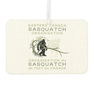 Désodorisant Pour Voiture Fraîcheur d'air sur mesure GOSC 2025