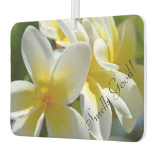 Désodorisant Pour Voiture Frangapani sent bon air frais