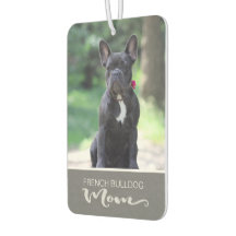 French Bulldog Insérez la photo de votre chien