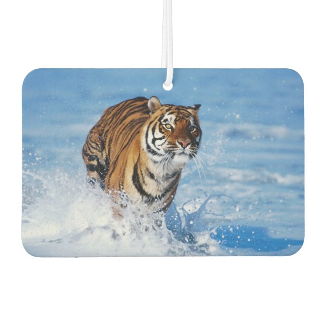 Désodorisant Pour Voiture Freshener Tiger Air (Devant)