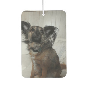 Désodorisant Pour Voiture Funny Chien Chien Chien Animal Photo Personnalisée