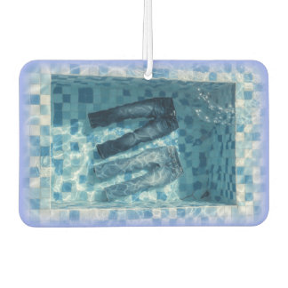 DÉSODORISANT POUR VOITURE GENE POOL