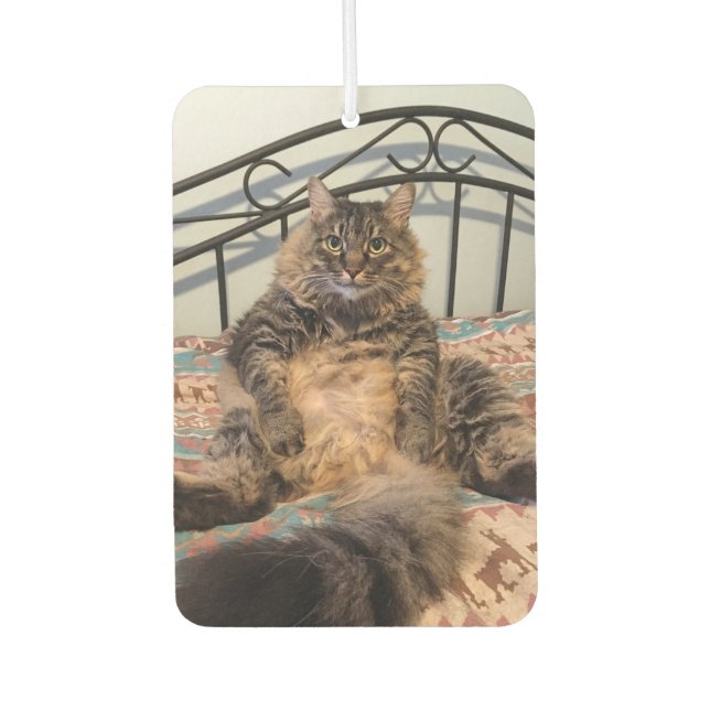 Désodorisant Pour Voiture Grosse voiture de chat énorme Air Freshener (Devant)