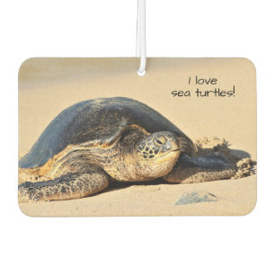 Désodorisant Pour Voiture Hawaïen Tortue de mer Air Freshner