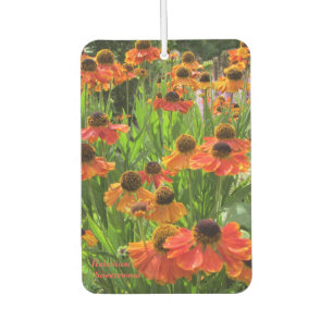 Désodorisant Pour Voiture Helenium "Eternuzée"