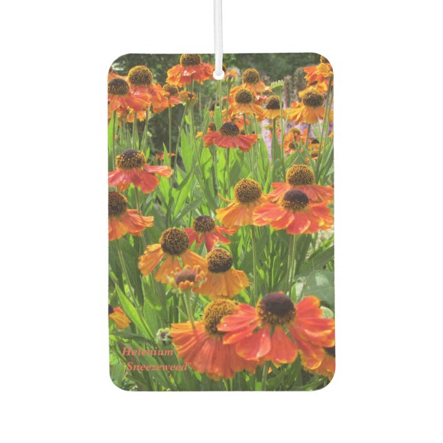 Désodorisant Pour Voiture Helenium "Eternuzée" (Devant)