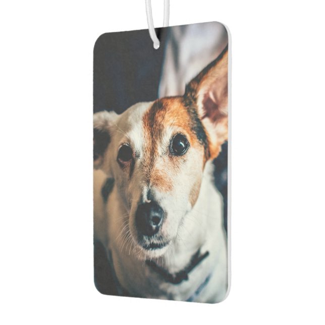 Désodorisant Pour Voiture Jack Russell Terrier Air Freshener (Gauche)