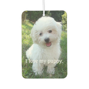 Désodorisant Pour Voiture J'aime mon chiot Car Air Freshener