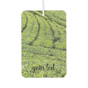 Désodorisant Pour Voiture Jardins de thé de Munnar en l'air 