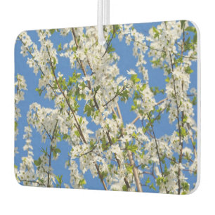 Désodorisant Pour Voiture Jolies fleurs de printemps et thème de ciel bleu