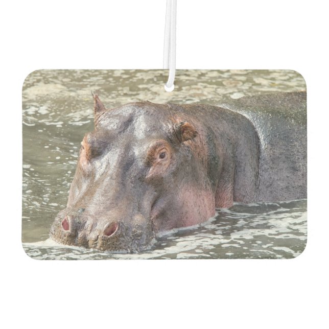 Désodorisant Pour Voiture Joyeux Hippo (Dos)