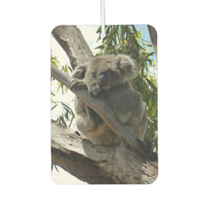 Désodorisant Pour Voiture Koala - Dormir