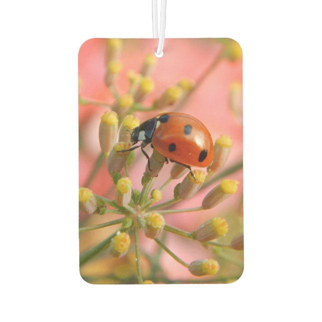 Désodorisant Pour Voiture Lady Bug Car Air Freshener (Dos)