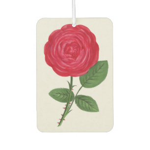 Désodorisant Pour Voiture Lithographie de rose antique, François-Frédéric Gr