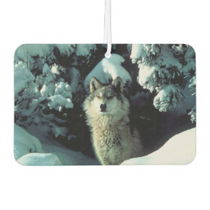 Désodorisant Pour Voiture Loup d'hiver