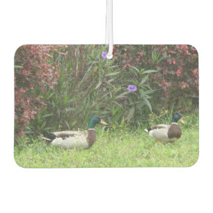 Désodorisant Pour Voiture Mallard Ducks Homme