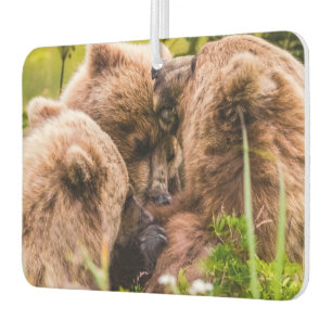 Désodorisant Pour Voiture Mama bear nourrit ses deux petits, Lake Clark Nati