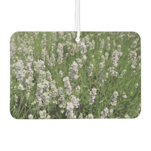 Désodorisant Pour Voiture Melissa Lavender