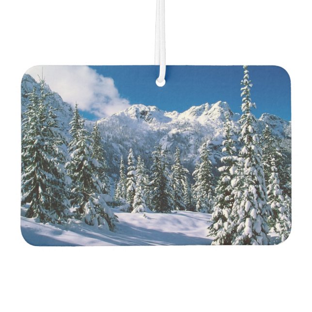 Désodorisant Pour Voiture Neige de l'air frais alpin (Devant)