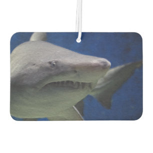 Désodorisant Pour Voiture Nettoyeur de l'air de la voiture requin.