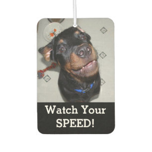 Désodorisant Pour Voiture Odeurs de chiot Rottweiler Doughnut Air Freshener