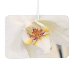Désodorisant Pour Voiture Orchidée White Dream