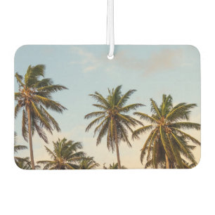 Désodorisant Pour Voiture Palmiers de vacances tropicaux