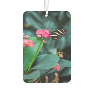 Désodorisant Pour Voiture Papillon sur une fleur