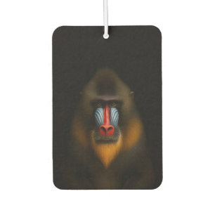 Désodorisant Pour Voiture Parfums de voiture Black 4 Luxe, Mandrill Singe