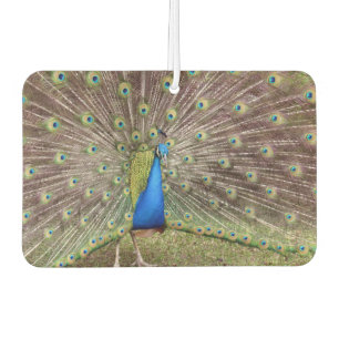 Désodorisant Pour Voiture Peacock Air Freshener