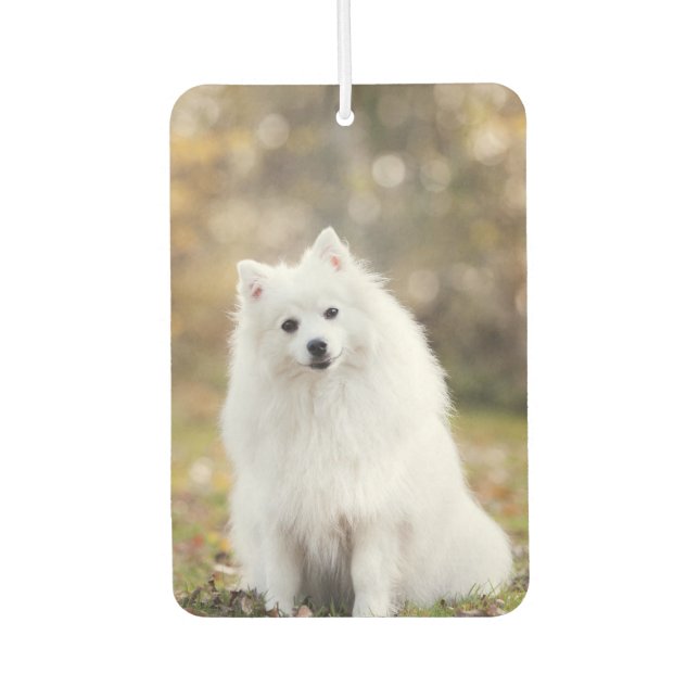 Désodorisant Pour Voiture Photo de chien personnalisée (Devant)