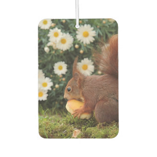 Désodorisant Pour Voiture Photo d'un écureuil roux mignon et de marguerites