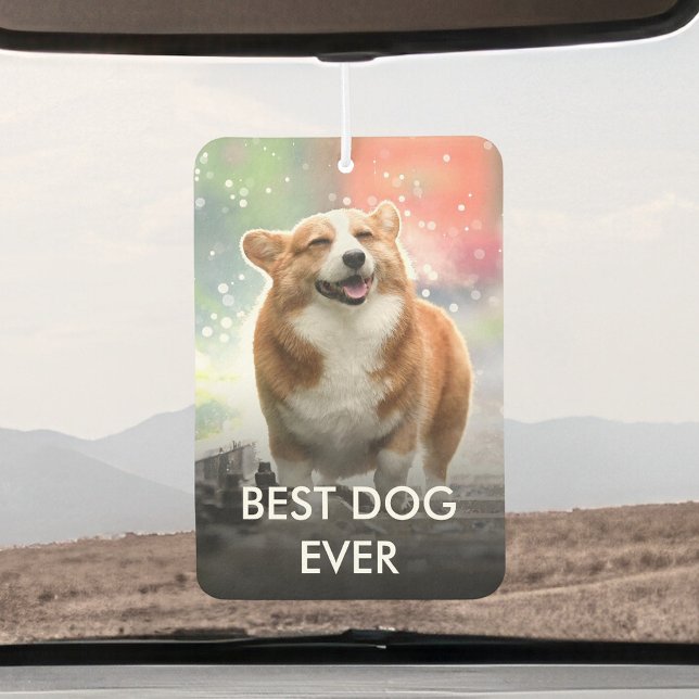 Désodorisant Pour Voiture Photo Et Nom Personnalisés De L'Animal De Compagni (Créateur téléchargé)