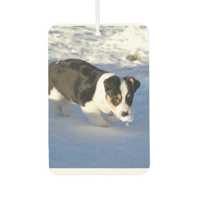Désodorisant Pour Voiture Photo personnalisée Air Freshener (Devant)
