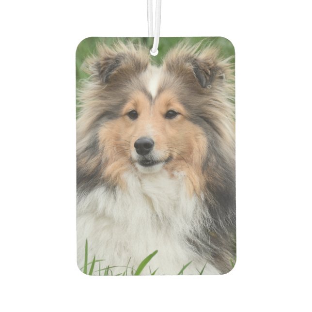 Désodorisant Pour Voiture Photo personnalisée Pot de chien photo (Dos)