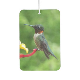 Désodorisant Pour Voiture Photographie d'oiseau de colibri à gorge rubis