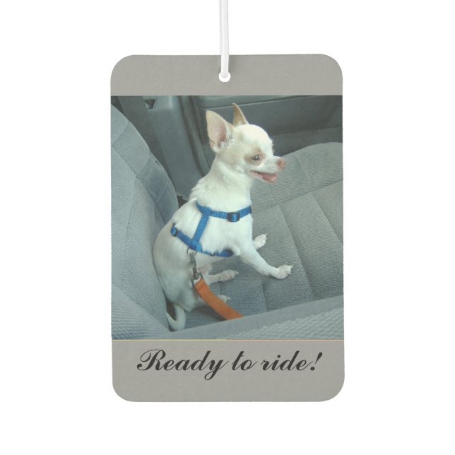 Désodorisant Pour Voiture Prêt à rouler voiture Air Freshener (Devant)