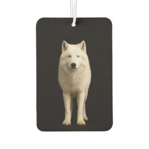 Désodorisant Pour Voiture Rafraîchisseurs d'air de voiture Black 4 Luxe Loup