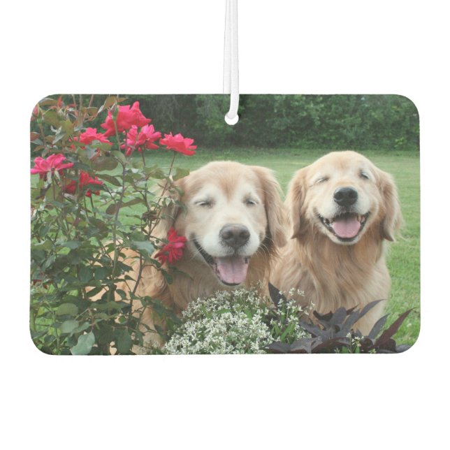 Désodorisant Pour Voiture Rires Golden Retrievers Dehors par les Roses (Devant)