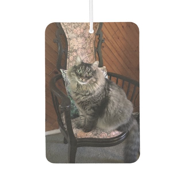 Désodorisant Pour Voiture Roi Chat Kimber Voiture Air Freshener (Devant)