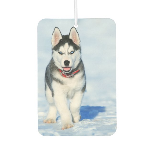 Désodorisant Pour Voiture Sibérien Husky (Devant)