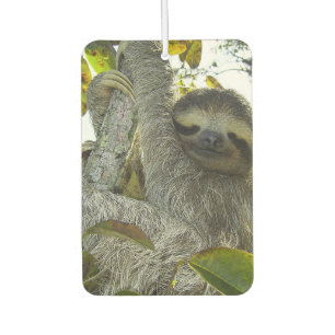Désodorisant Pour Voiture Sourire Sloth Heart Air Freshener, Emerald Sea