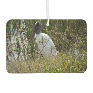 Désodorisant Pour Voiture Stores de bois à Viera Wetlands